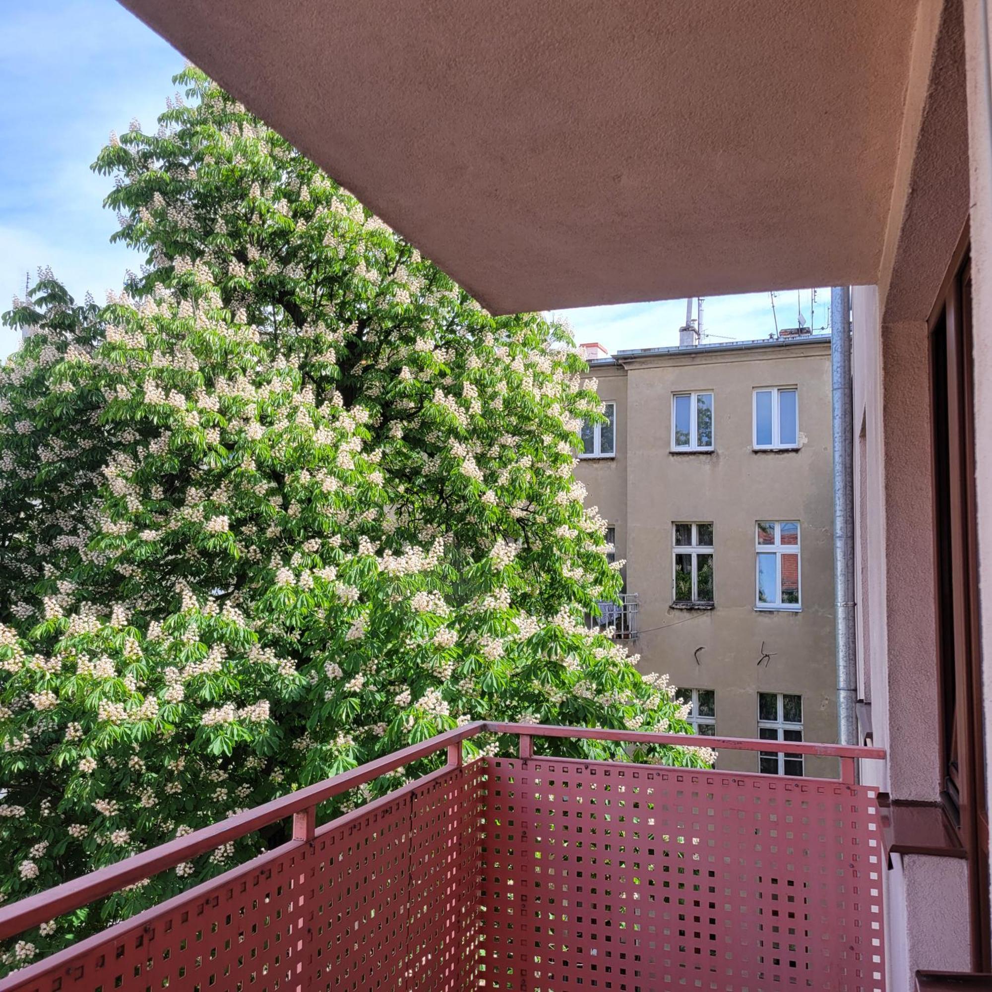 Cozy Apartment Wrocław Extérieur photo
